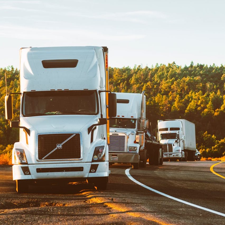 A line of tractor trailer trucks parked in a pine forest landscape like east Texas