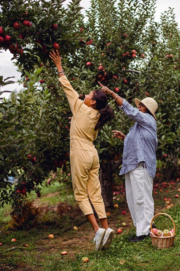 A mother points to an apple while her daughter stands on tip toes to reach it